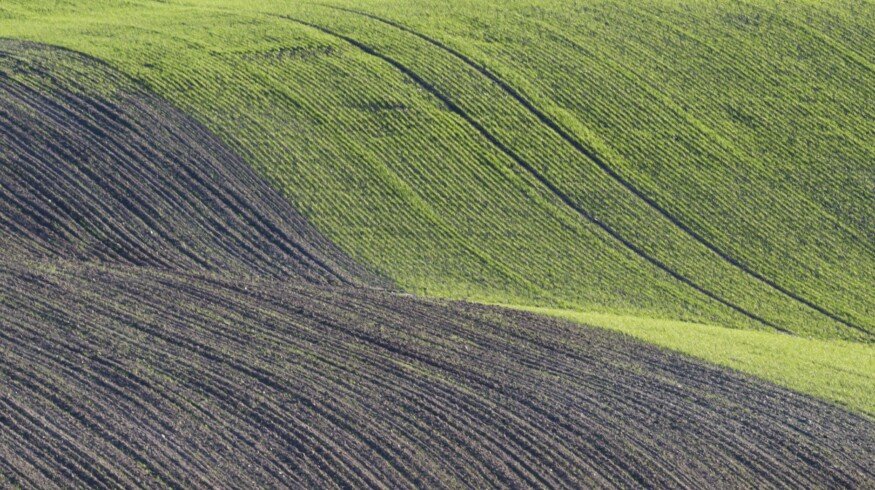 Sowing of winter crops may fail in Ukraine