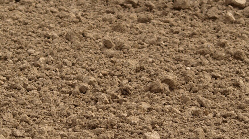 Winter crops are being planted in the Rostov region