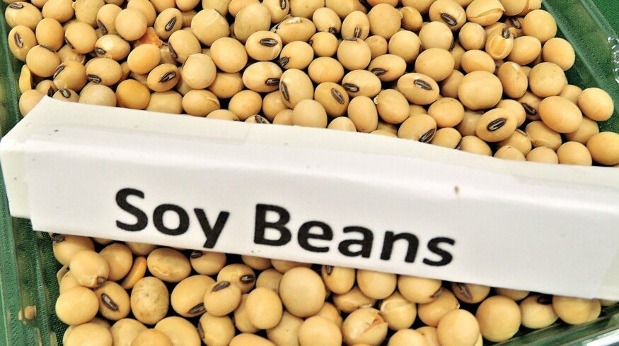 The global soybean crop may increase slightly