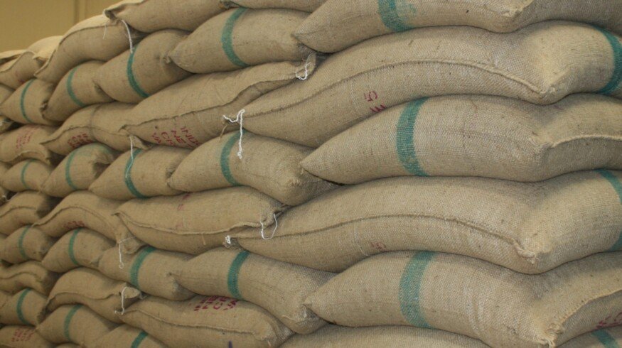 Russia will increase the export of nitrogen fertilizers until the end of December