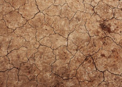 EuroChem study says Russian soils lose too much calcium and magnesium