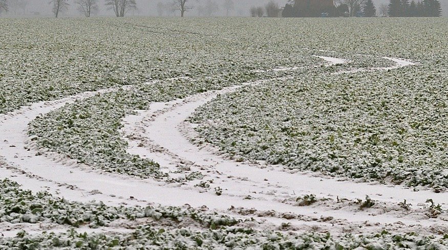 Farmers of the Volgograd region are preparing for spring sowing campaign
