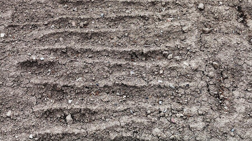 Cultivation area in the Kurgan region will expand by 2.2%
