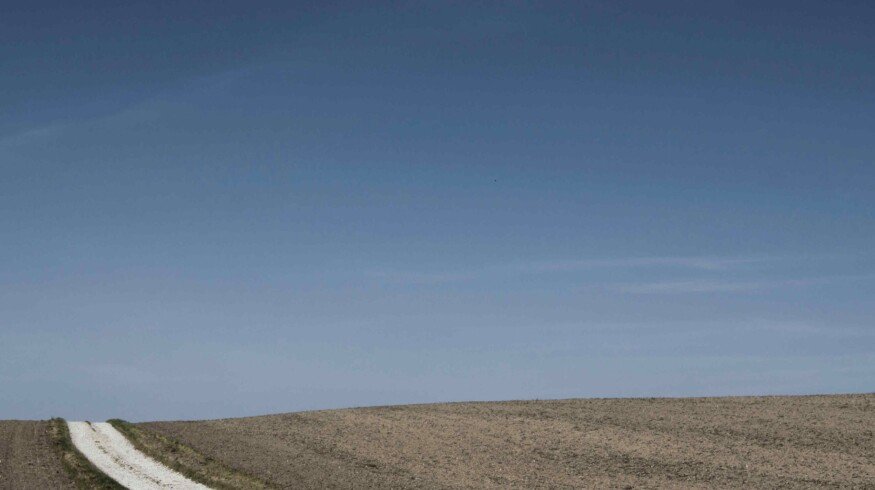 Rusmolco will sow over 80 thousand hectares this year