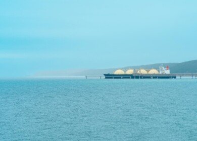 Novatek will supply Deepak Fertilisers and Petrochemicals with raw materials
