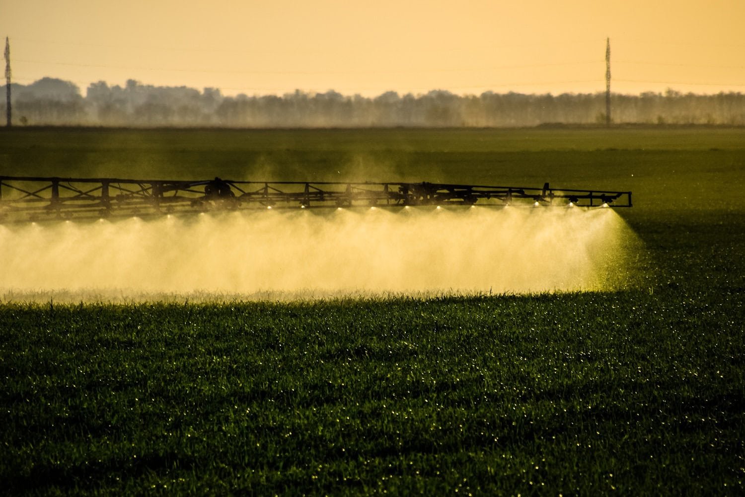 Ammoni plant will start producing liquid nitrogen fertilizers in Tatarstan