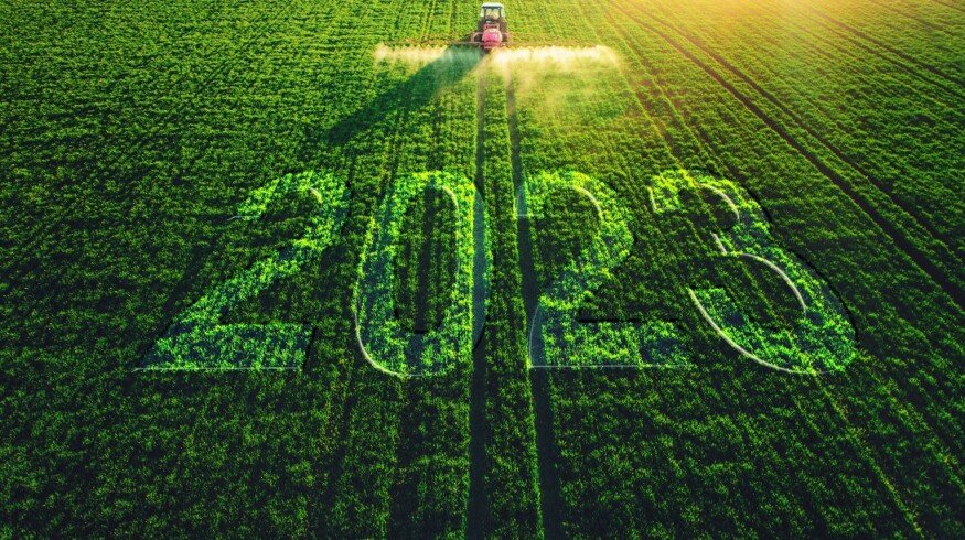 Sowing campaign in Ukraine is under threat
