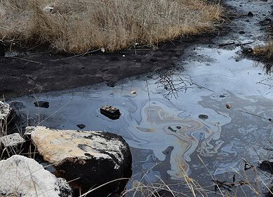 Kemerovo Azot caused damage to the environment estimated at $557 million