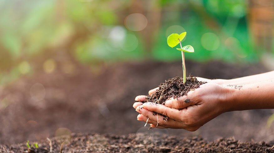 Russian scientists have found the way to improve soil fertility