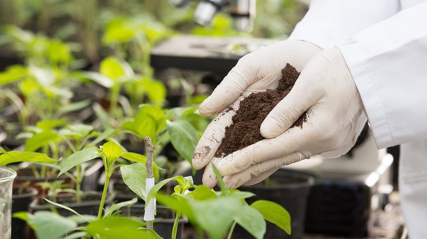 Schelkovo Agrohim presented new 2023 fertilizers product line