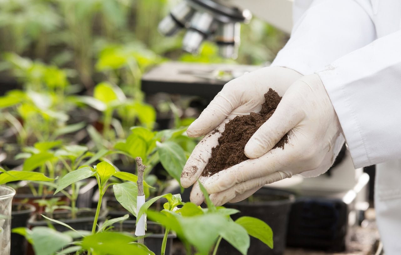 Schelkovo Agrohim presented new 2023 fertilizers product line