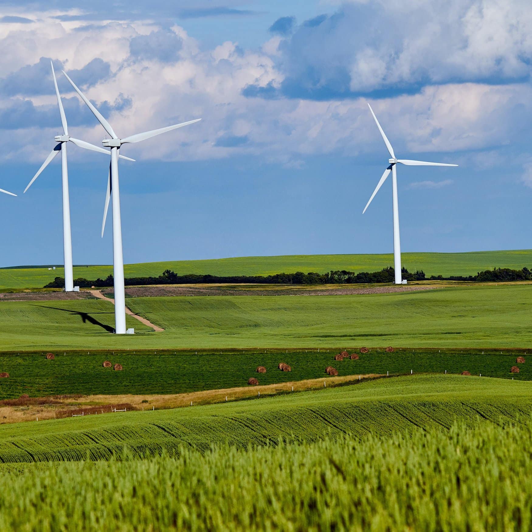 Stamicarbon Licenses An Innovative 450 MTPD Green Ammonia Plant In The