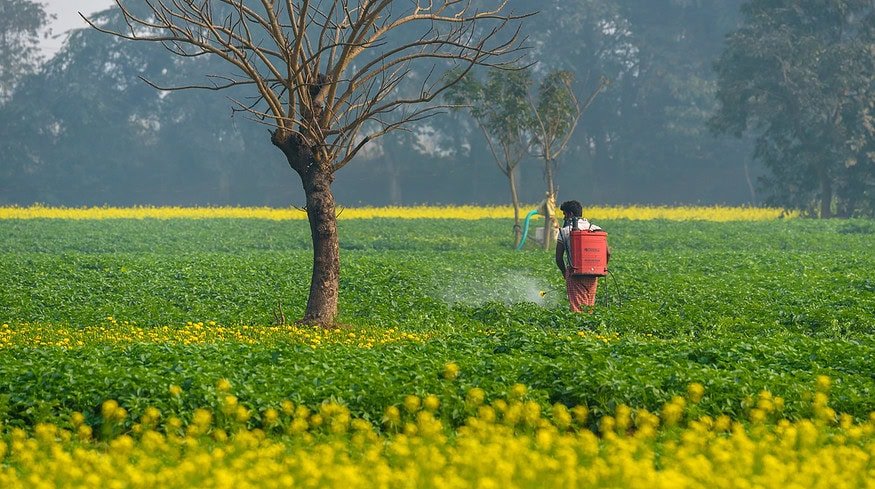 India increased fertilizer imports from Russia by 3.4 times in 2022