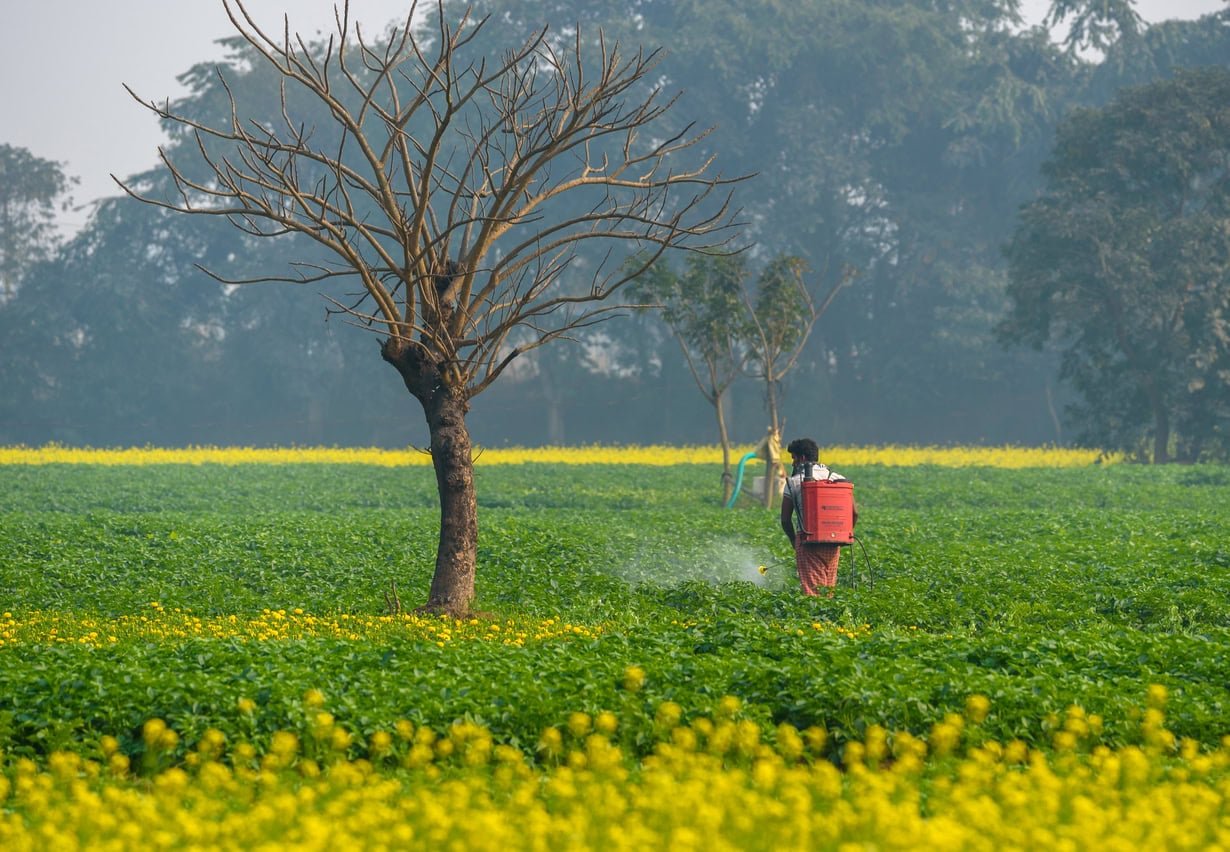 India increased fertilizer imports from Russia by 3.4 times in 2022