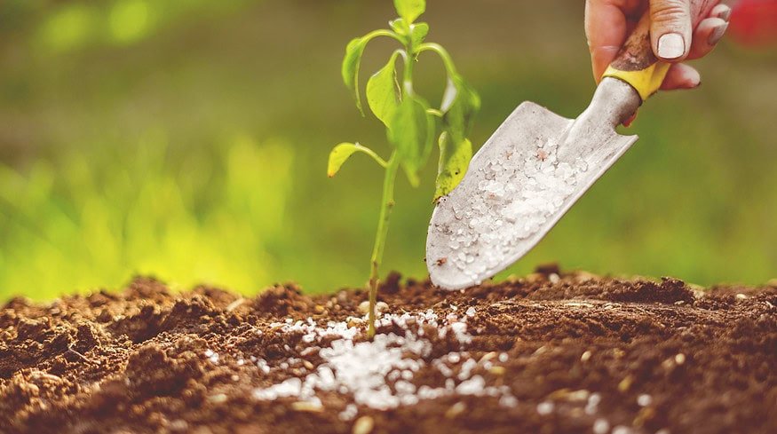 PhosAgro plans to create about 30 new biological products by 2030