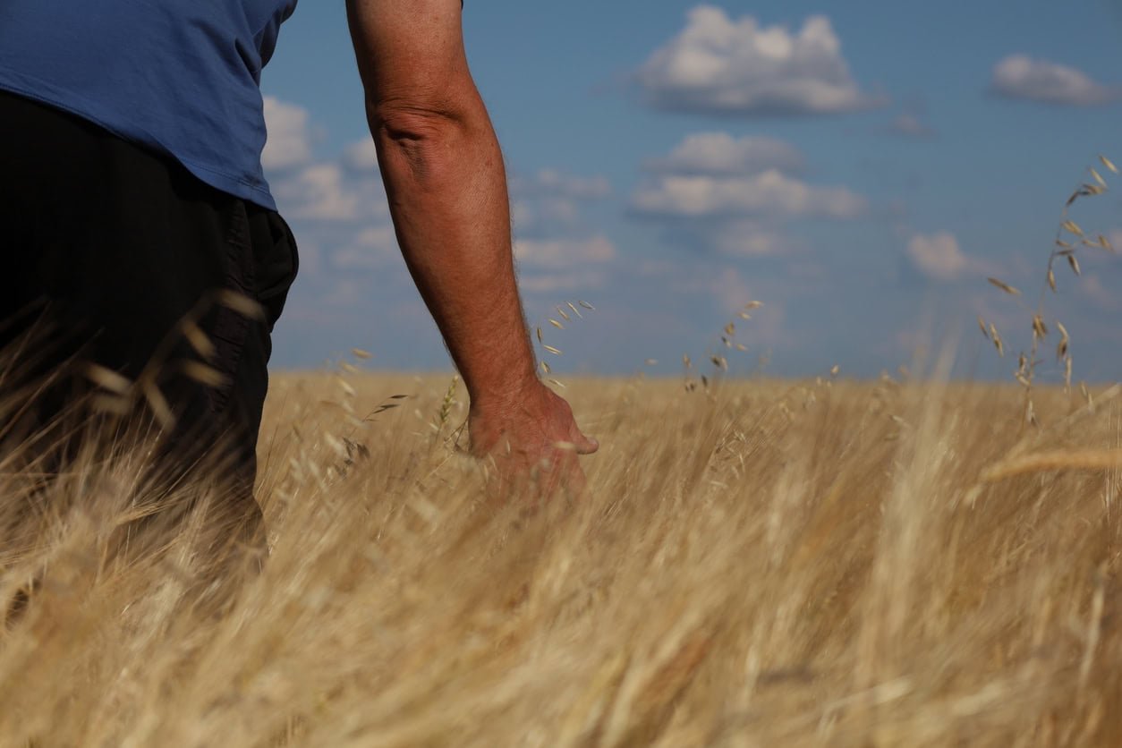 Kazakhstan began to produce fertilizers from coal