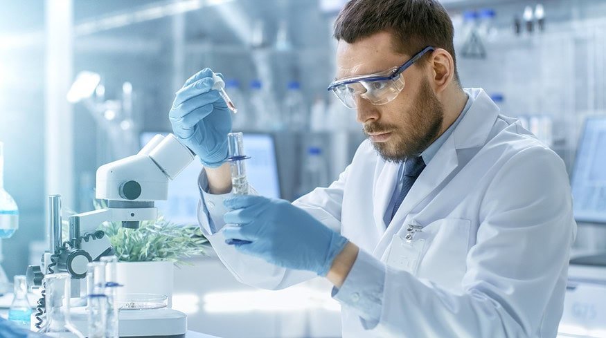 Russian scientists obtained fertilizers from poultry and livestock waste