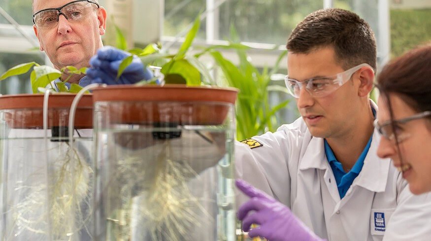 Yara will build a new global plant in UK to produce special crop nutrition