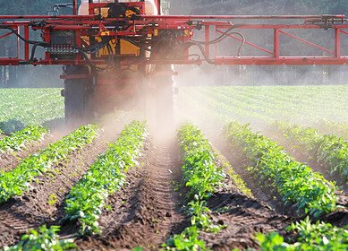 Russian manufacturers of plant protection products gained major domestic market share