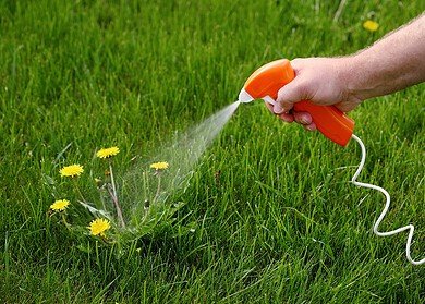 Russia has doubled the herbicides production over the past six years