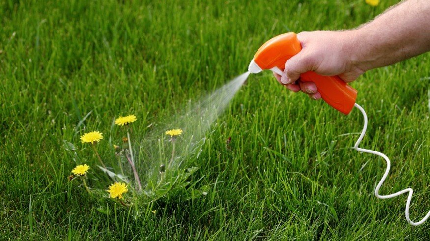 Russia has doubled the herbicides production over the past six years