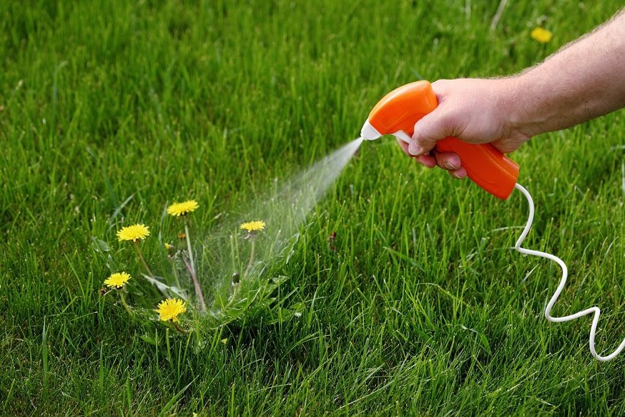 Russia has doubled the herbicides production over the past six years