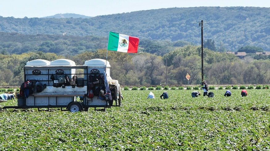 Avgust registered its first plant protection product in Mexico