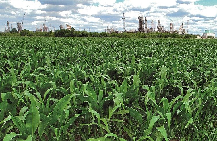 TogliattiAzot published its environmental report for 2022