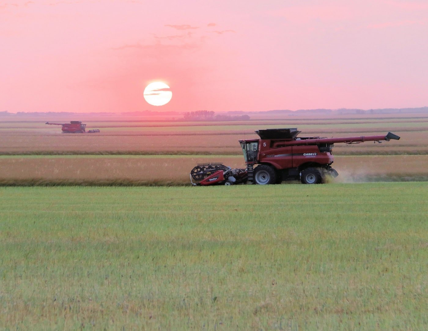 Genesis Fertilizers Eyes Fertilizer Distribution Centre Near Canadian City of Tisdale