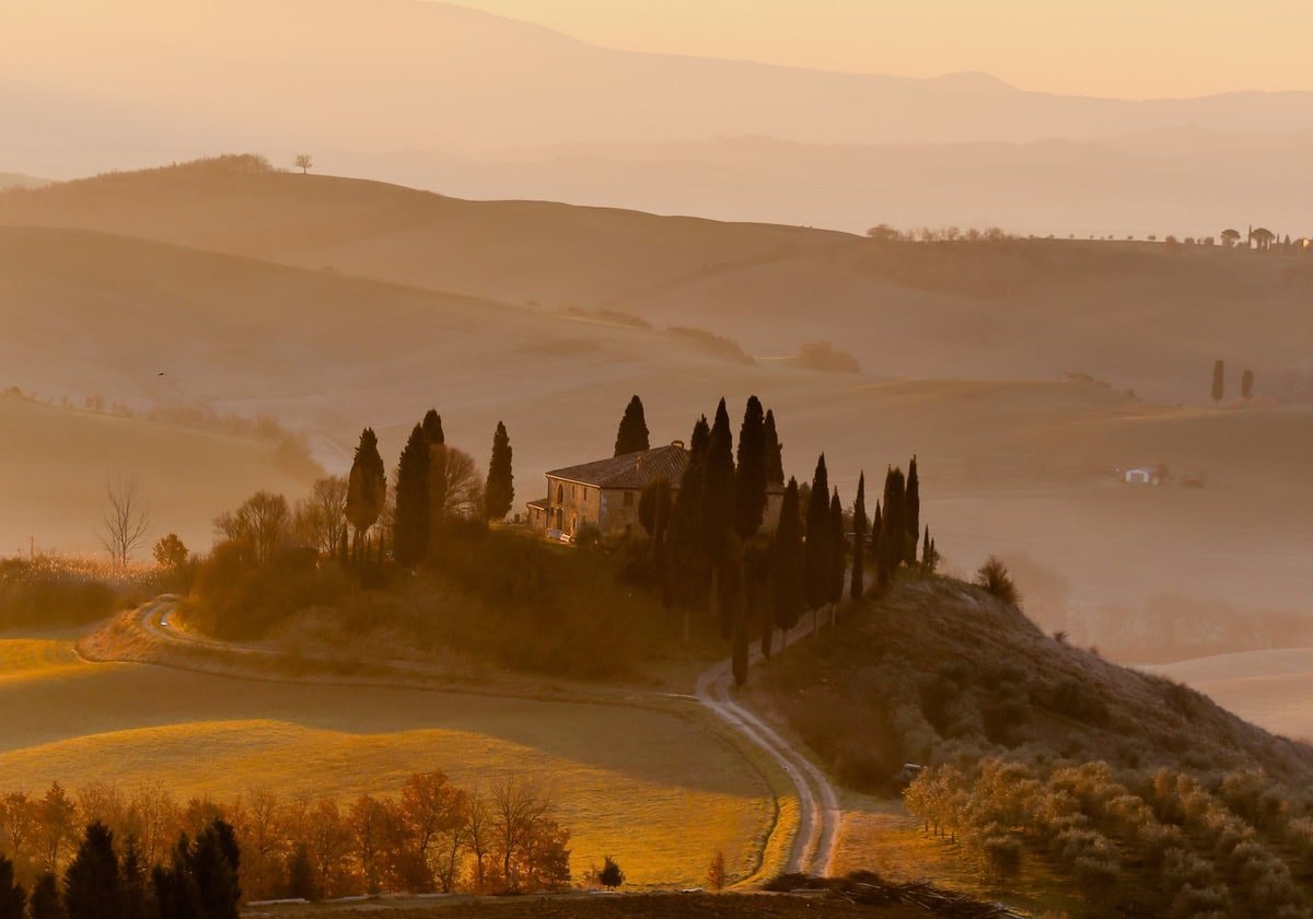 Climate Challenges Threaten Puglia Farms: 30% Loss Forecast in a Decade