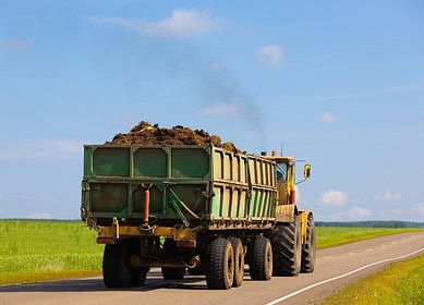 Novosibirsk scientists want to create an agro-eco-technopark to produce organic fertilizers