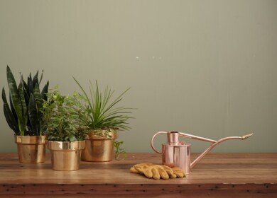 ‘Electroculture’ Gardening: A Trending Phenomenon Under Scrutiny