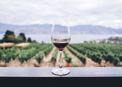 France Confronts Wine Surplus Crisis: $216 Million Allocated for Unprecedented Disposal