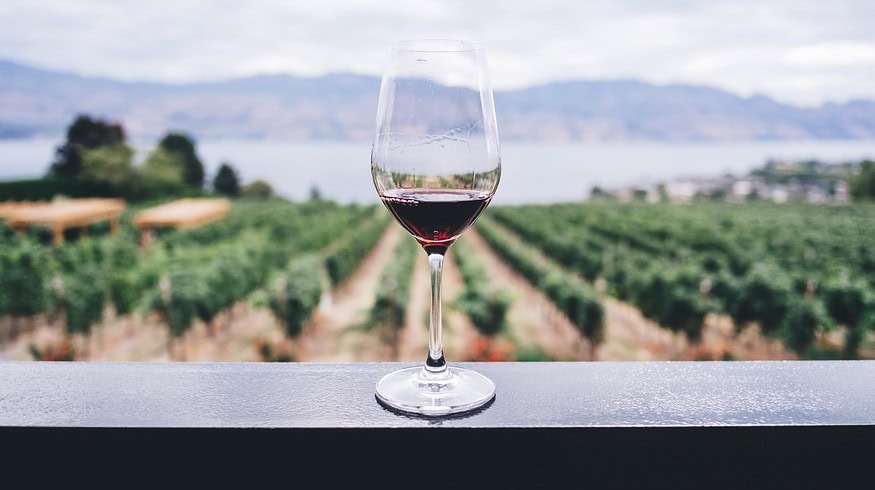 France Confronts Wine Surplus Crisis: $216 Million Allocated for Unprecedented Disposal