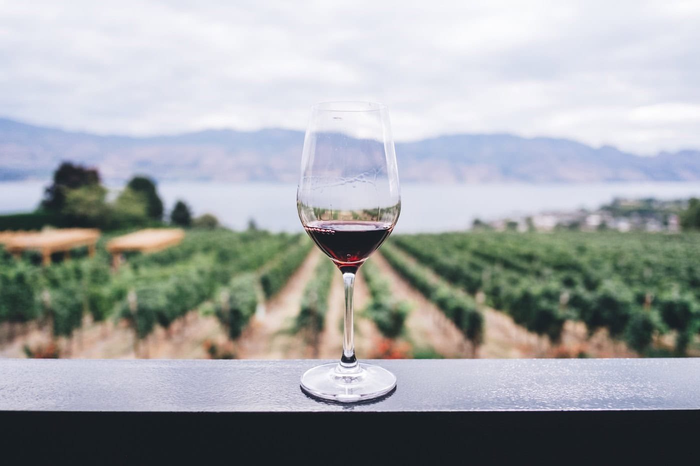 France Confronts Wine Surplus Crisis: $216 Million Allocated for Unprecedented Disposal