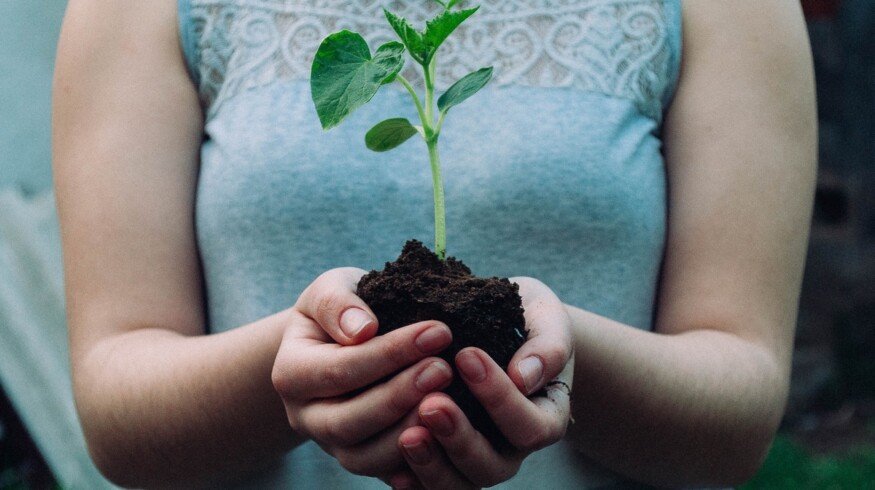 University of Illinois Extension Presents Flexible Online Master Gardener Training