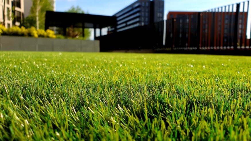 Hydroseeding: A New Approach to Achieving a Lush, Healthy Lawn