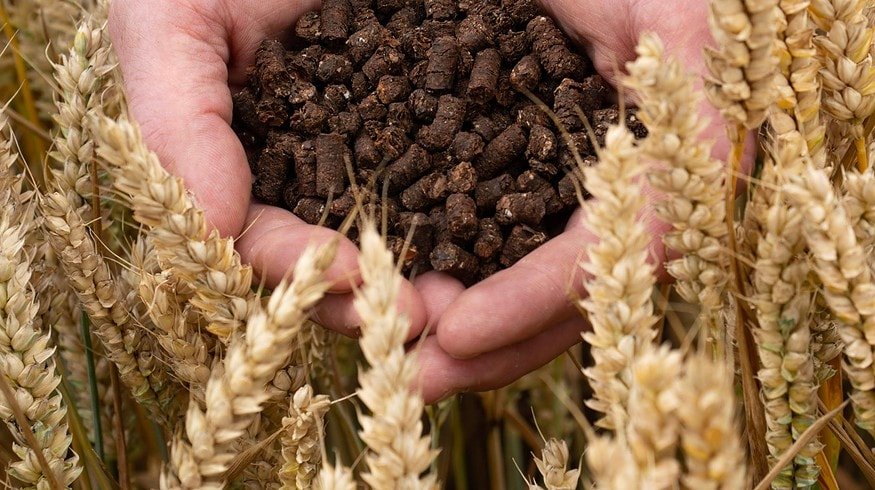 Nestlé and Cargill’s Sustainable Venture: Turning Cocoa Husks into Low-Carbon Fertilizer
