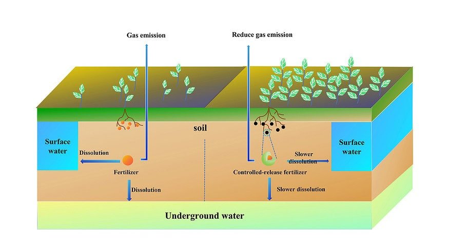 Controlled-Release Fertilizers Show Promise for Sustainable Agriculture