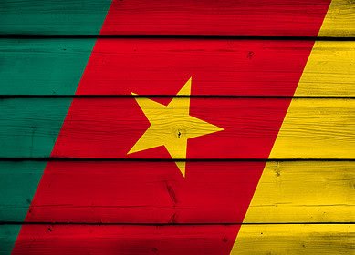 Cameroon Expects Russia Could Help It with Fertilizer Production