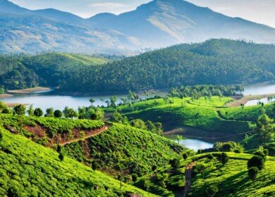 India and Saudi Arabia Eye Collaboration on Energy Security and Fertilizer Supply