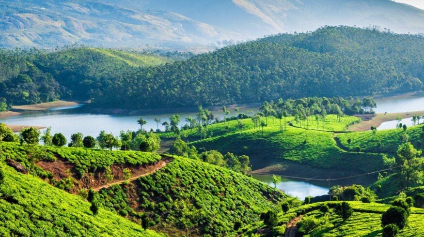 India and Saudi Arabia Eye Collaboration on Energy Security and Fertilizer Supply