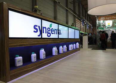 Advancing Wheat Cultivation: Syngenta’s Solutions and Insights