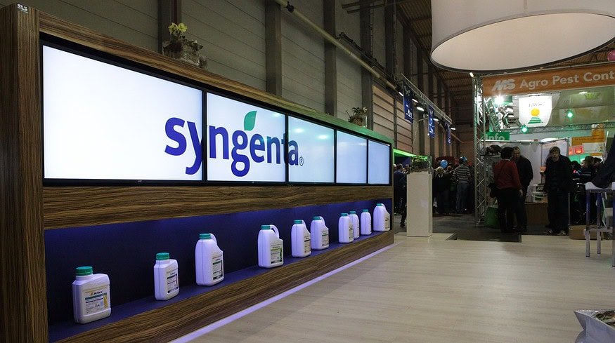Advancing Wheat Cultivation: Syngenta’s Solutions and Insights