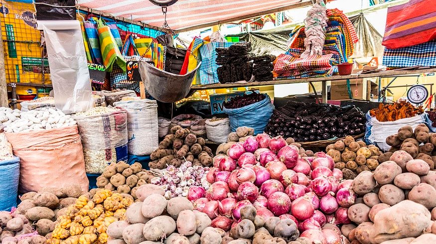 From the Andes to the table: the quest to safeguard potato diversity amid climate woes