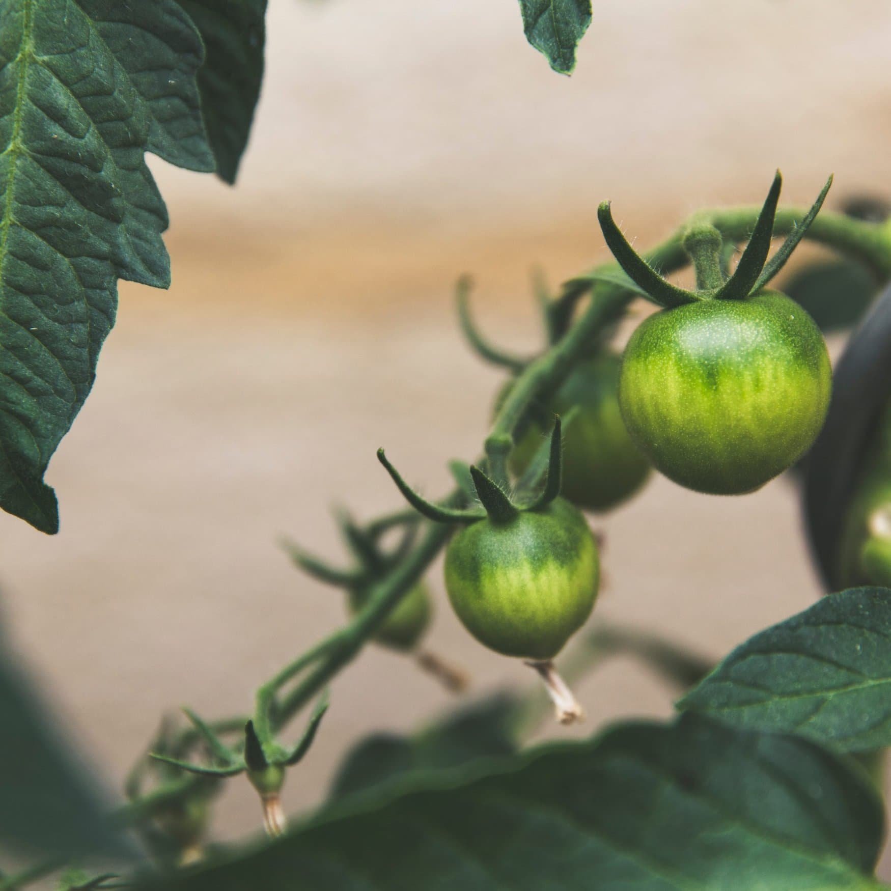Russia increases fertilizer production volume in 2023