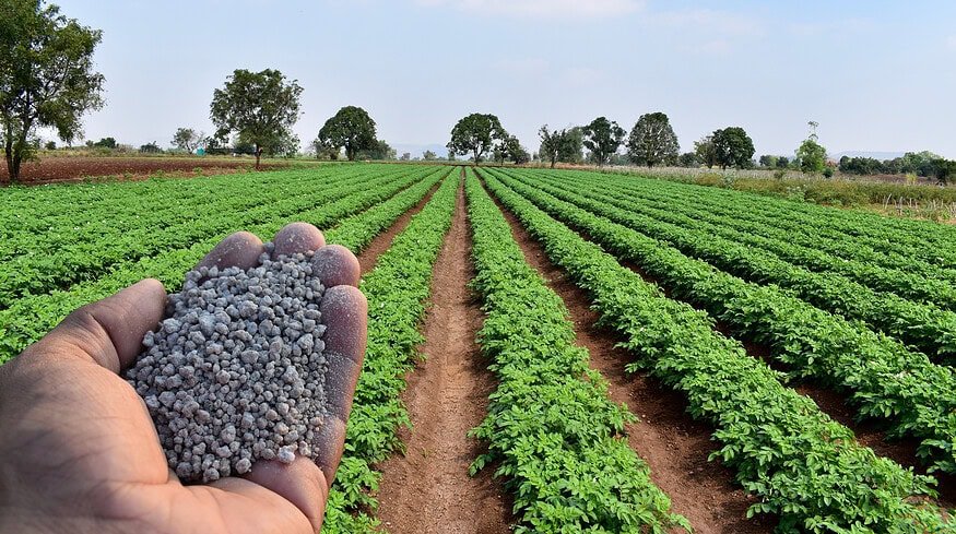 Clarkson professors secure $749,000 USDA grant for technology to mitigate phosphate pollution