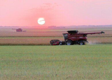 Saskatchewan’s agricultural emissions on the rise, says National Farmers Union report