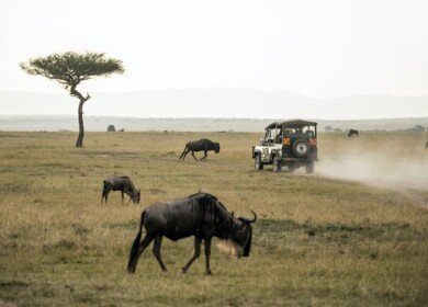 Farmer loan uptake dips in September, says Central Bank of Kenya