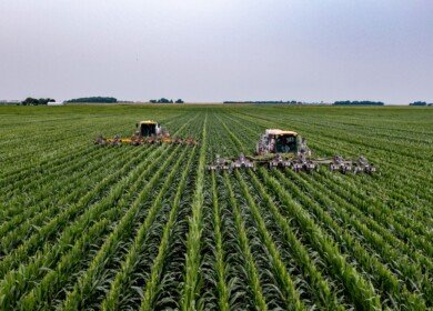 US lawmakers call for lower duties on imports of phosphate fertilizer from Morocco